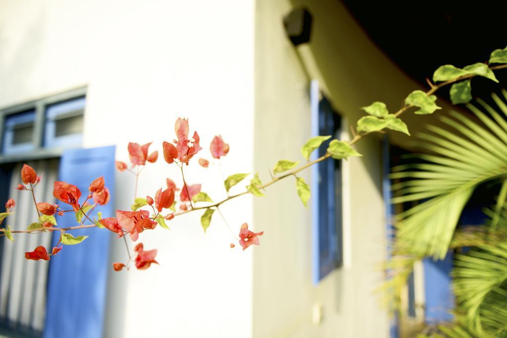 Palagama Beach Etalai Exterior foto